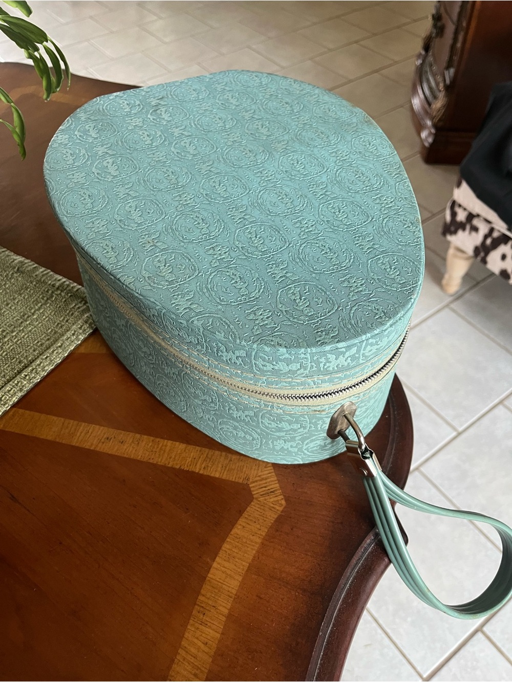 Lady Sunbeam Mint Green Travel Hair Styling Case